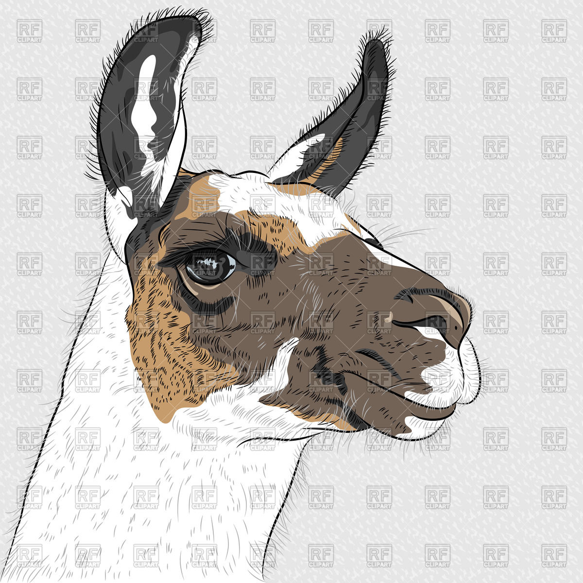 1200x1200 Sketch Of Alpaca Vector Image Vector Artwork Of Plants And - Alpaca Sketch