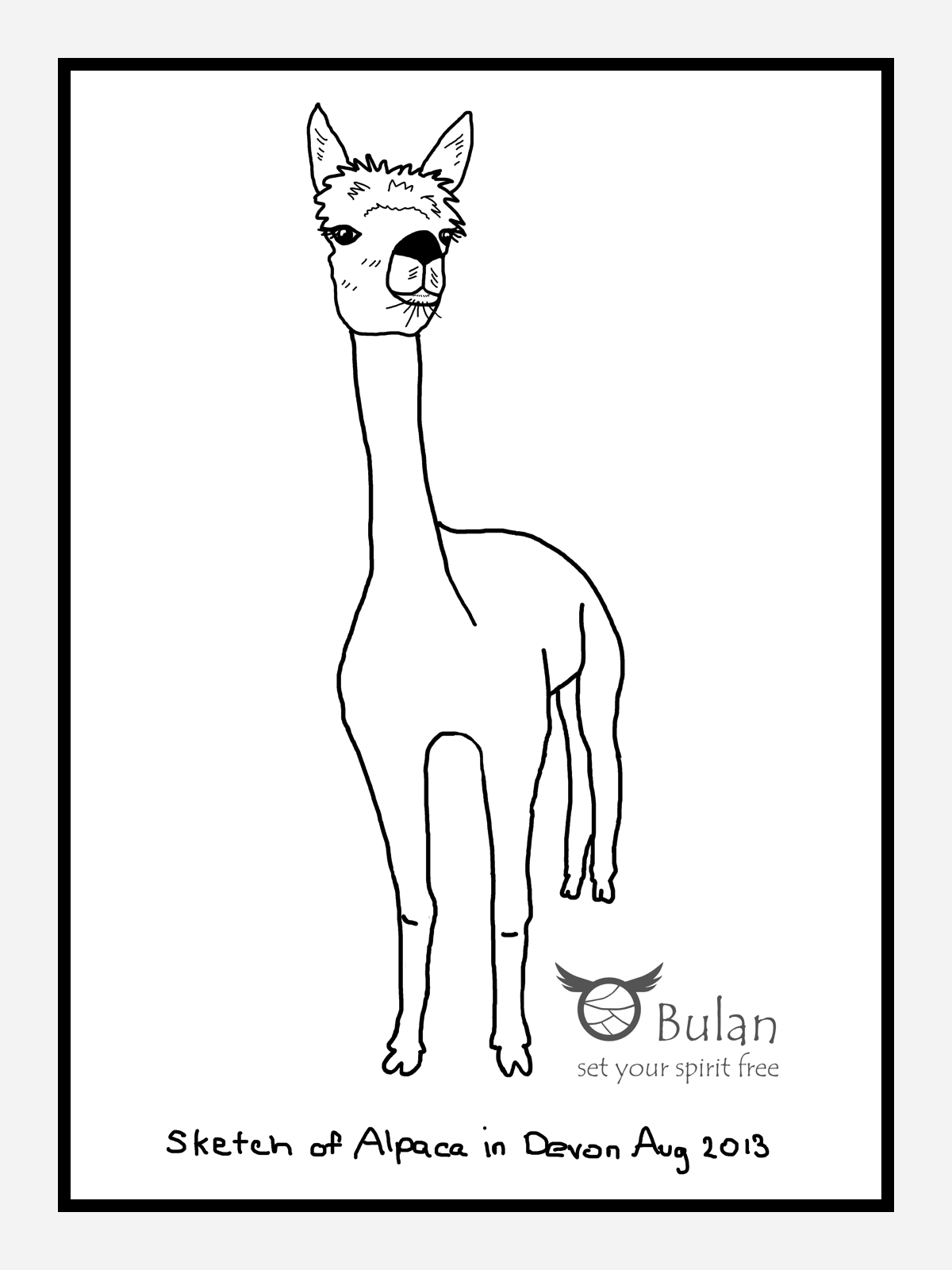 1200x1600 Sketch Of The Day No 113 Ally The Alpaca In - Alpaca Sketch