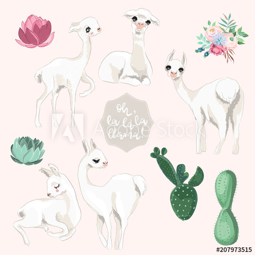 500x500 Vector Cute Baby Llama, Alpaca Characters Set. Sketch, Outline - Alpaca Sketch