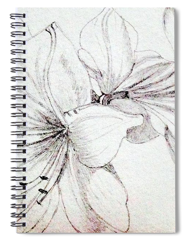 770x1000 Amaryllis Sketch Spiral Notebook For Sale By Nicole Curreri - Amaryllis Sketch