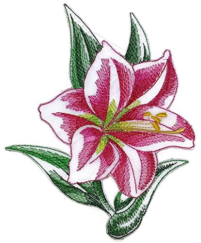 414x500 Beyondvision Custom Blooming Flowers Sketch[Sketched - Amaryllis Sketch