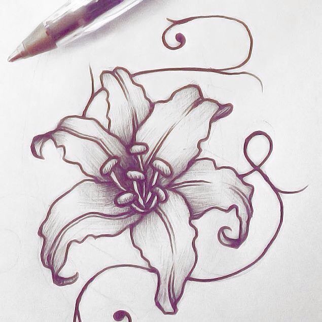 635x635 Enzoser Studio. On Twitter Amaryllis First Sketch. - Amaryllis Sketch