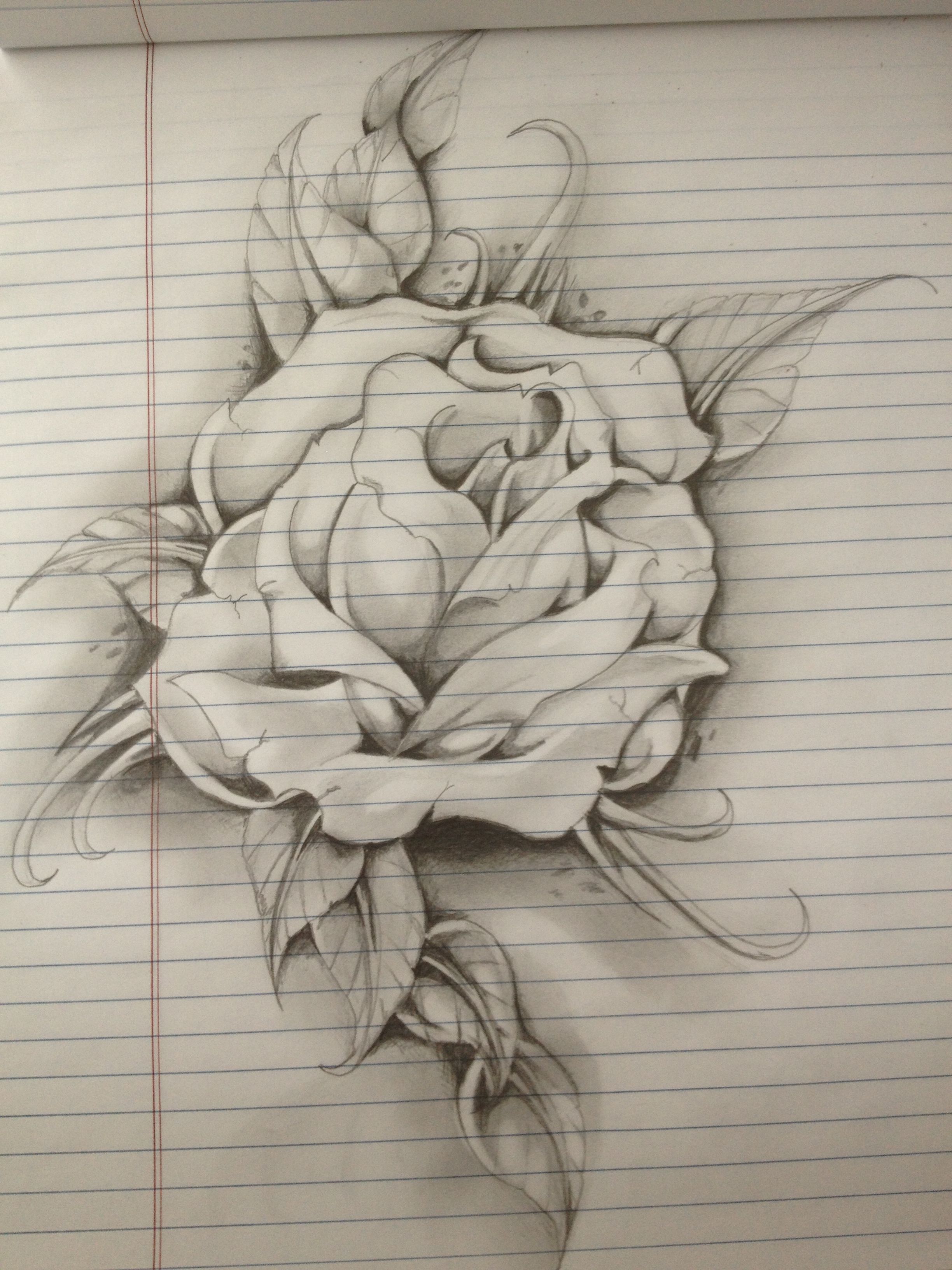 2448x3264 Amazing Sketch By Someone I Adore - Amazing Sketches