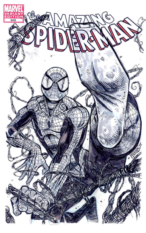 503x800 Amazing Spider Man - Amazing Spider Man Sketch