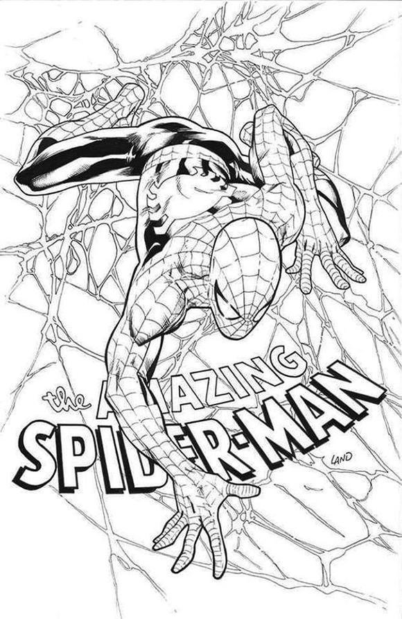 580x892 Amazing Spider Man - Amazing Spider Man Sketch