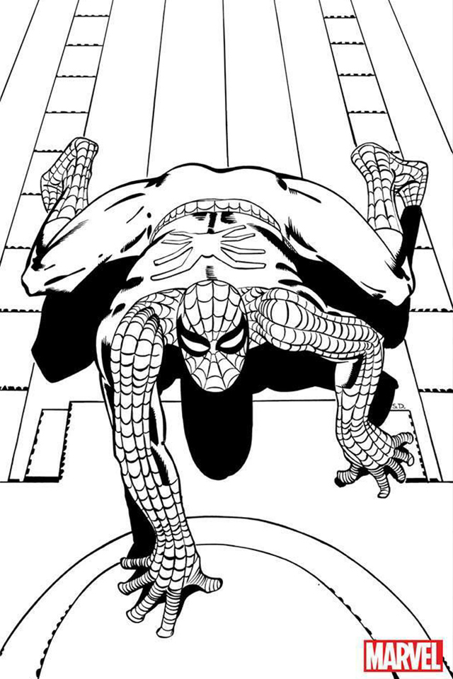 640x960 Amazing Spider Man - Amazing Spider Man Sketch