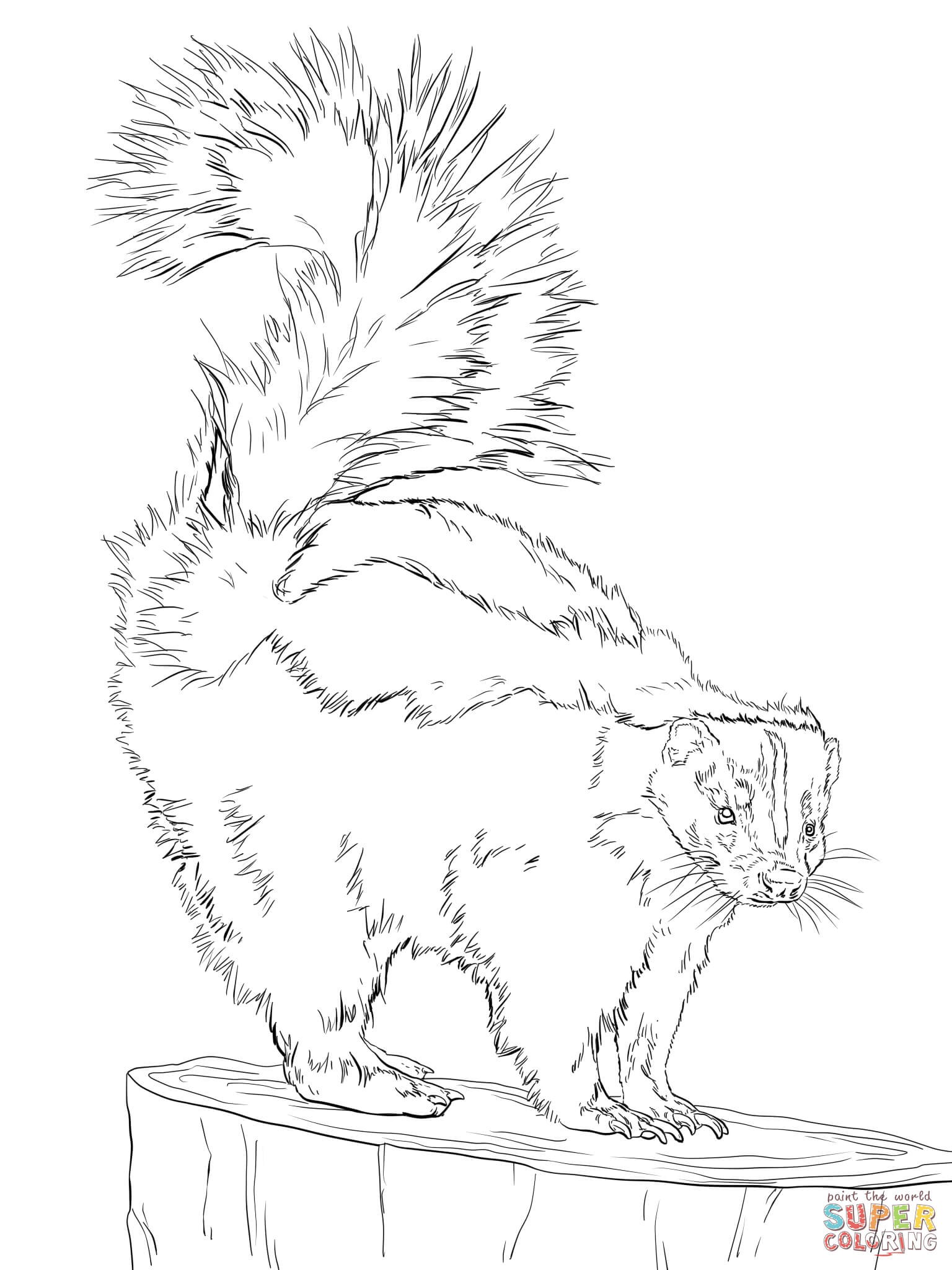 1536x2048 Sketch Drawing Us Map Online New North America Map Drawing At - America Map Sketch