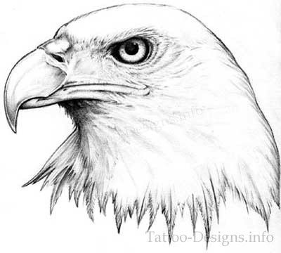 400x360 Black And White American Bald Eagle Head Tattoo Sketch Pin It - American Bald Eagle Sketches