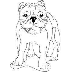236x236 Pictures How To Draw A American Bulldog, - American Bulldog Sketch