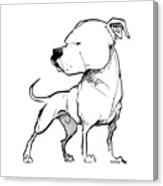 163x186 American Bulldog Gesture Sketch Art Print By John Lafree - American Bulldog Sketch