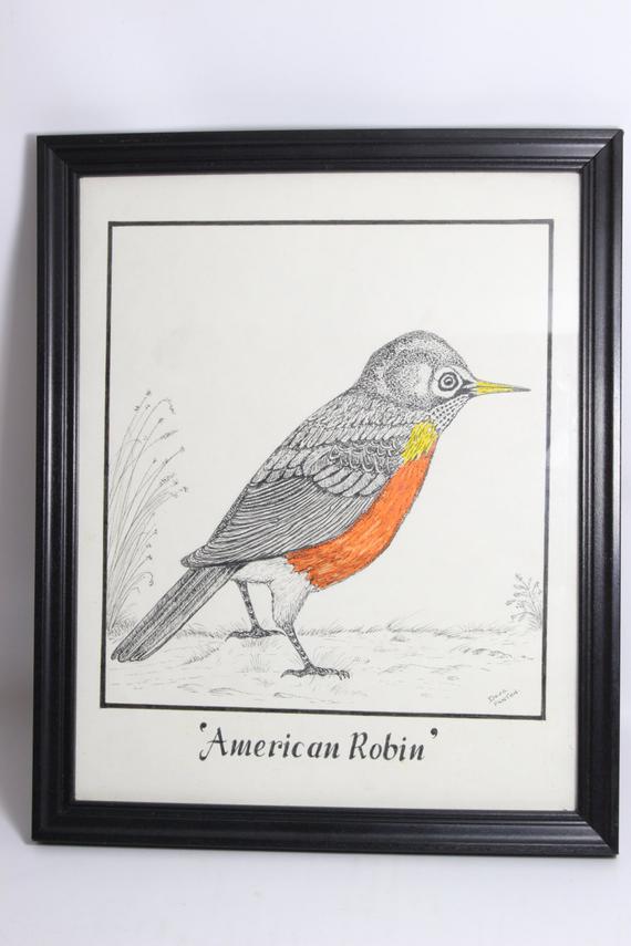 570x855 Rare Early Original Ink Pen Art Sketch American Etsy - American Robin Sketch