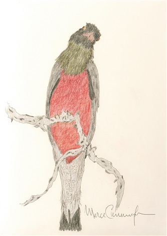 333x470 Untitled American Robin By Merce Cunningham On Artnet - American Robin Sketch