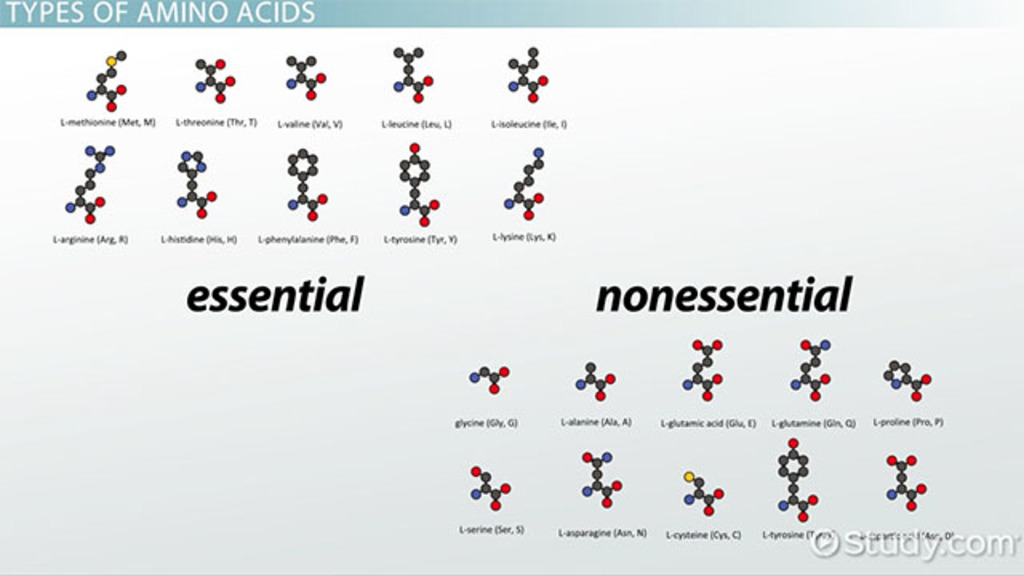 1024x576 What Are Amino Acids - Amino Group Sketch