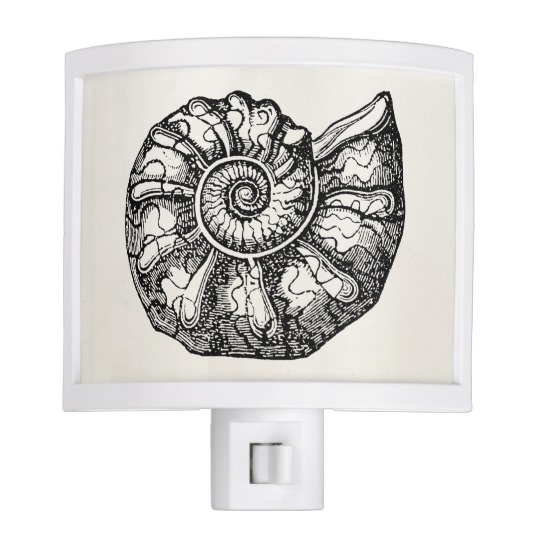 540x540 Vintage Ammonite Seashell Fossil Shell Template Night Light - Ammonite Sketch