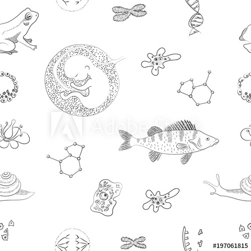 500x500 Biology. Flower, Dna, Cell, Chromosomes, Perch Fish, Molecule - Amoeba Sketch