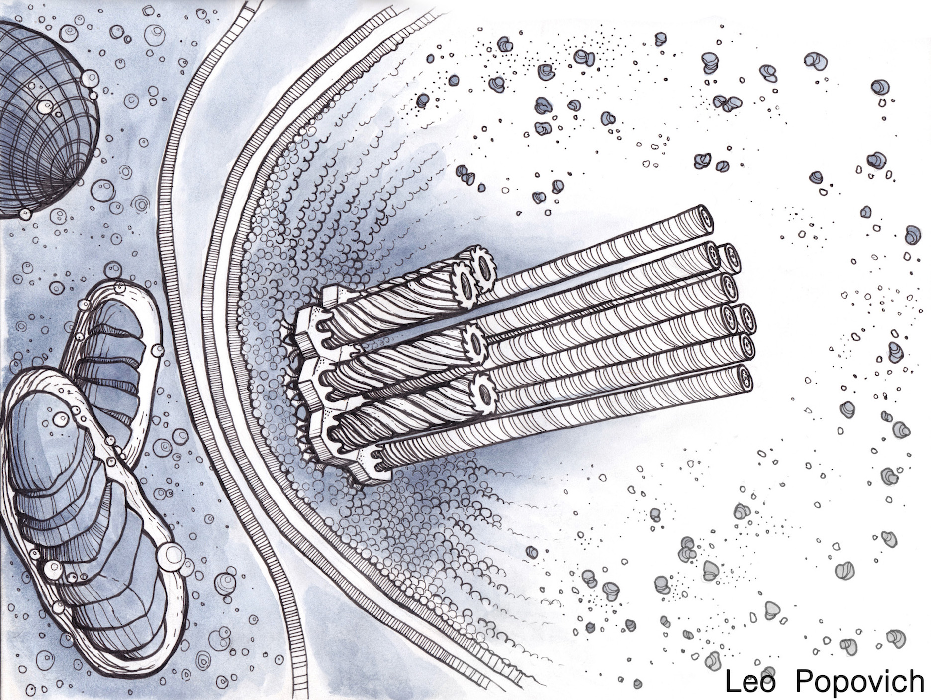 1872x1407 New Paper In Science A New Contractile Injection System In An - Amoeba Sketch