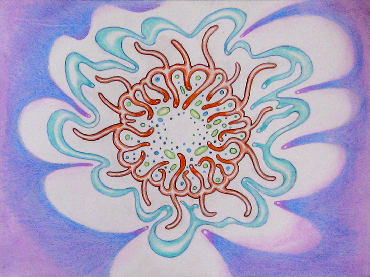 733x548 Weird Amoeba Proteus Sketch Hartz - Amoeba Sketch