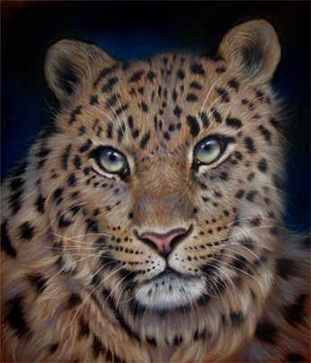 346x404 Amur Twilight Daler Rowney - Amur Leopard Sketch