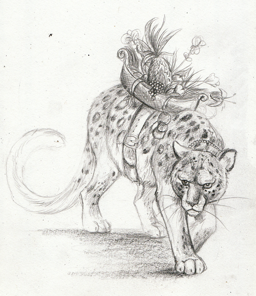 816x944 Commission Amur Leopard By Amadoodles - Amur Leopard Sketch