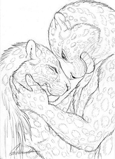 380x525 Cuddly Couples - Amur Leopard Sketch