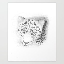 264x264 Amur Leopard Art Prints Society6 - Amur Leopard Sketch