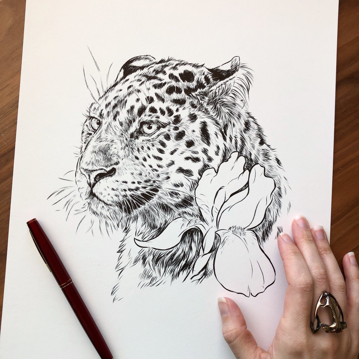 1200x1200 On Twitter Practicing Realism With This - Amur Leopard Sketch