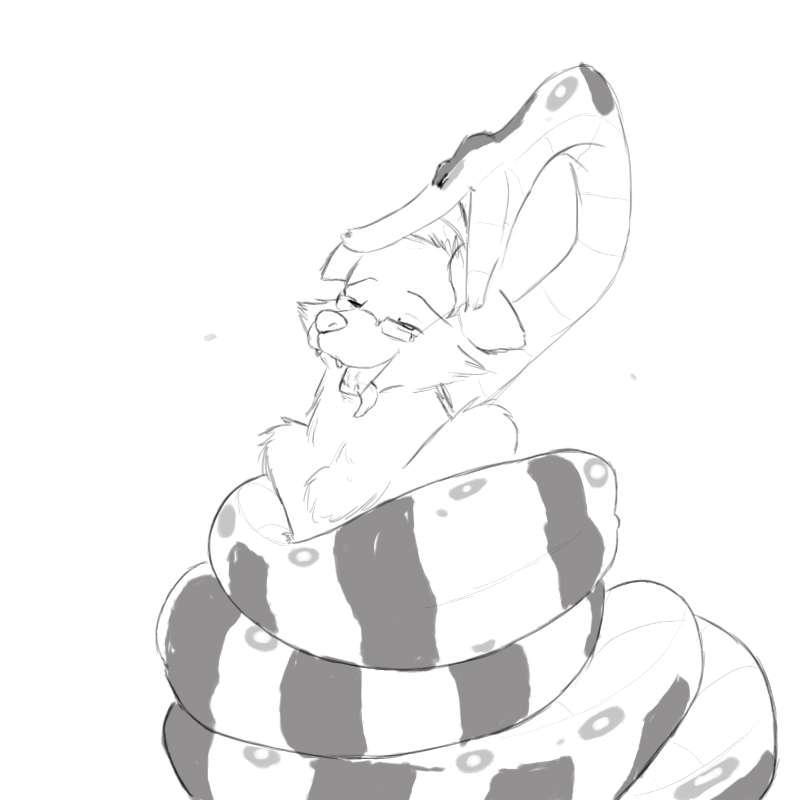 800x800 Husky And The Anaconda Teacher By Slayersarge - Anaconda Sketch