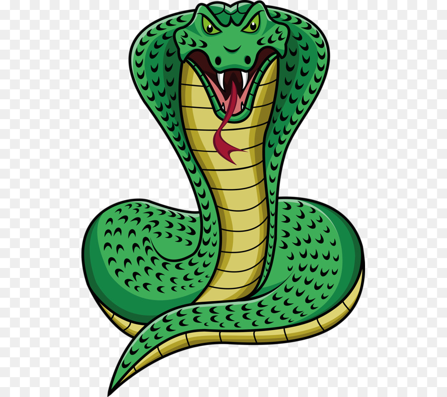 900x800 Snake Drawing Cobra Clip Art - Anaconda Sketch