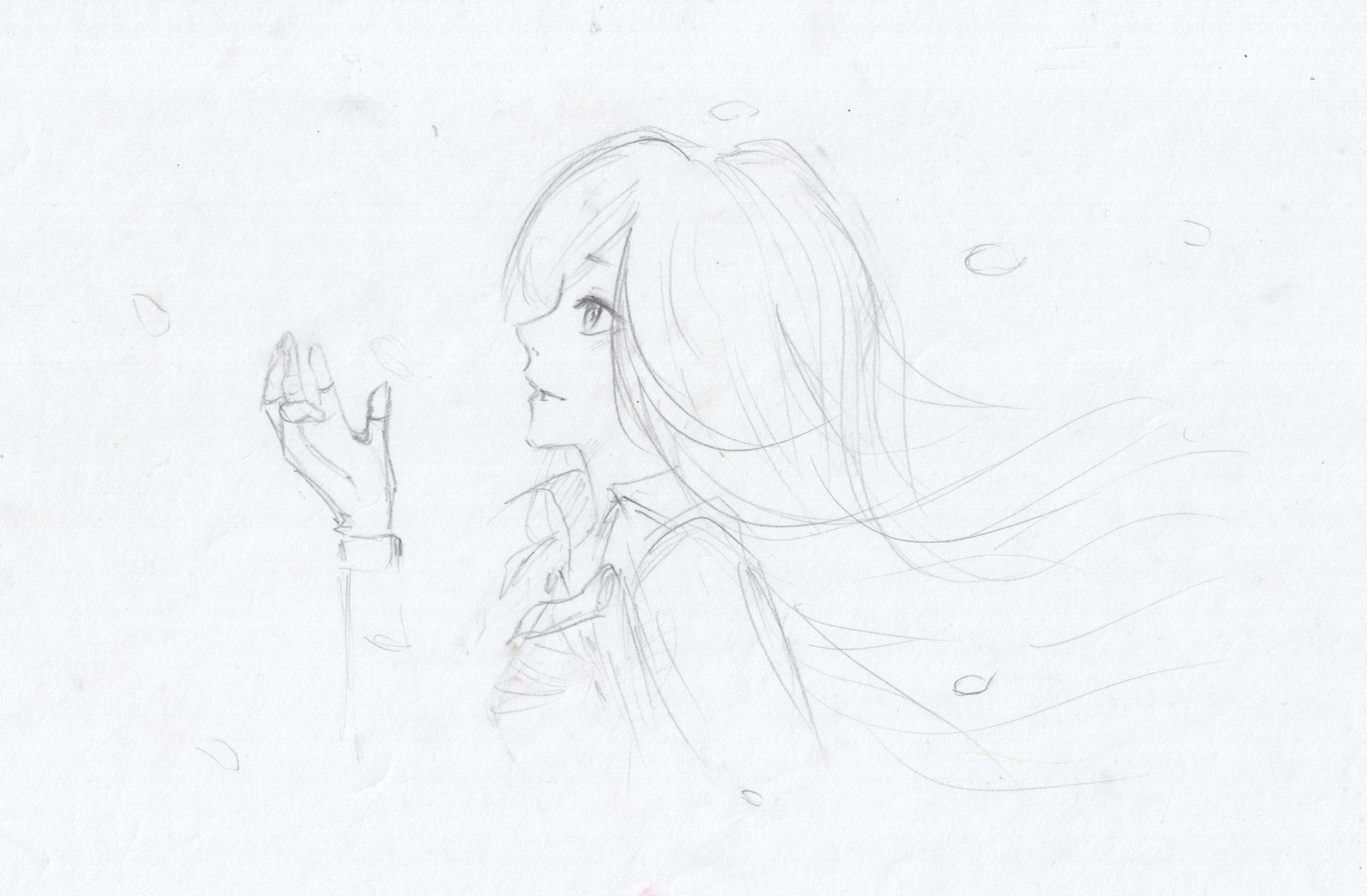 2000x1312 Morevna Spring Bloom Sketch By Anastasia Majzhegisheva - Anastasia Sketch