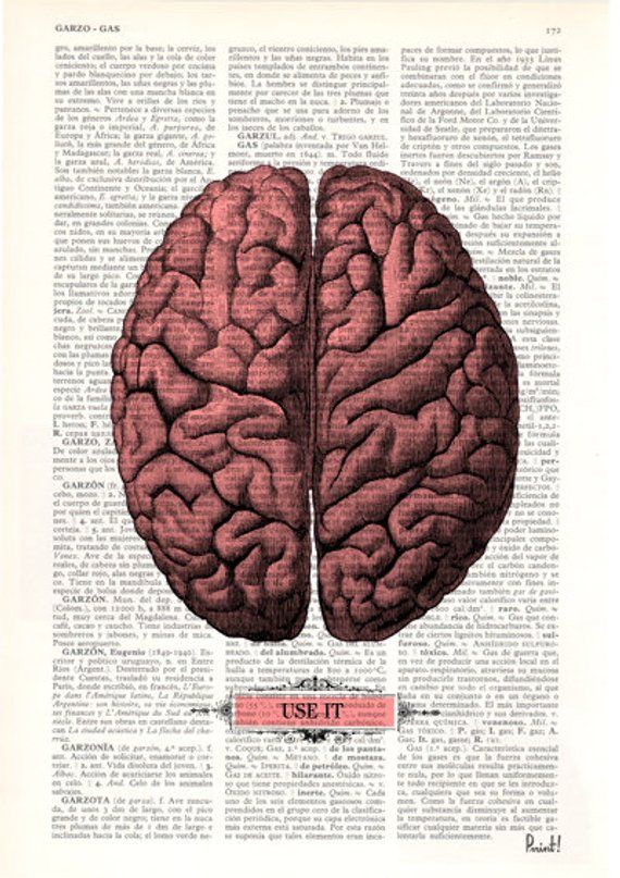 570x807 Brain Use It Human Anatomy Art Dictionary Print Anatomy Skulls - Anatomical Brain Sketch