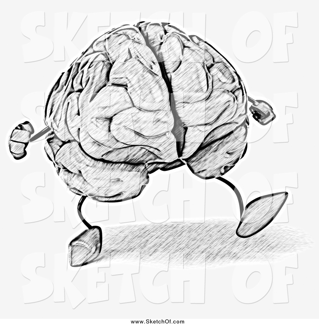 1024x1044 Drawn Brains Sketched - Anatomical Brain Sketch