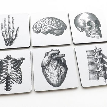 354x354 Best Anatomical Brain Products On Wanelo - Anatomical Brain Sketch