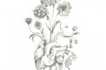 343x228 Real Heart With Flowers Drawing - Anatomical Heart Sketch