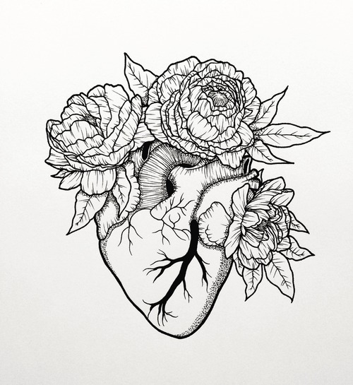 Anatomical Heart Sketch at PaintingValley.com | Explore collection of ...