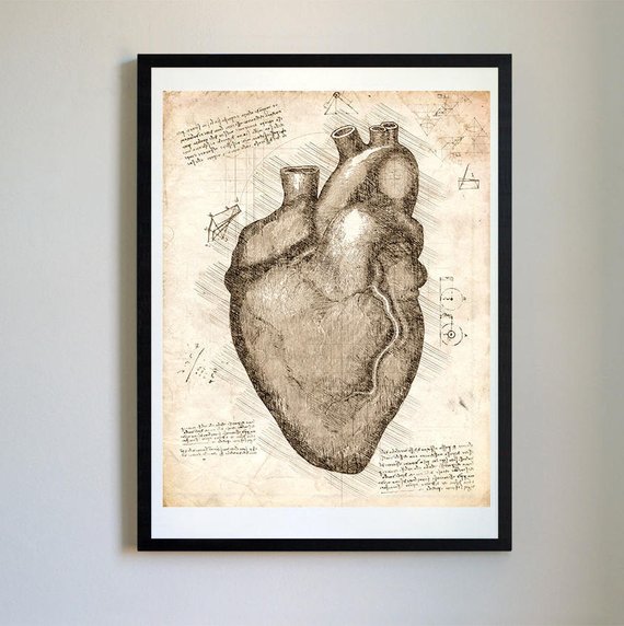 570x572 Vintage Anatomical Heart Sketch Da Vinci Print Anatomy Heart Etsy - Anatomical Heart Sketch