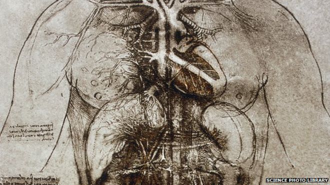 660x371 What Leonardo Taught Us About The Heart - Anatomical Heart Sketch