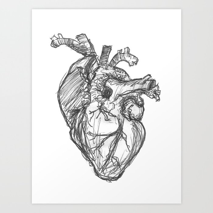 700x700 Anatomical Heart Ink Sketch Art Print By Midmod Society6 - Anatomical Heart Sketch