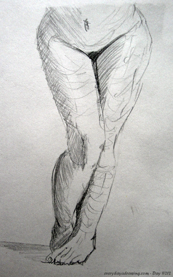 550x881 Day - Anatomical Sketches