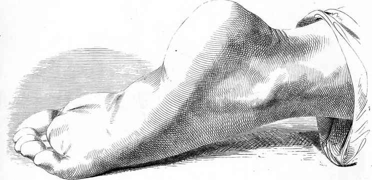 744x361 Sketches Of Human Anatomy - Anatomical Sketches