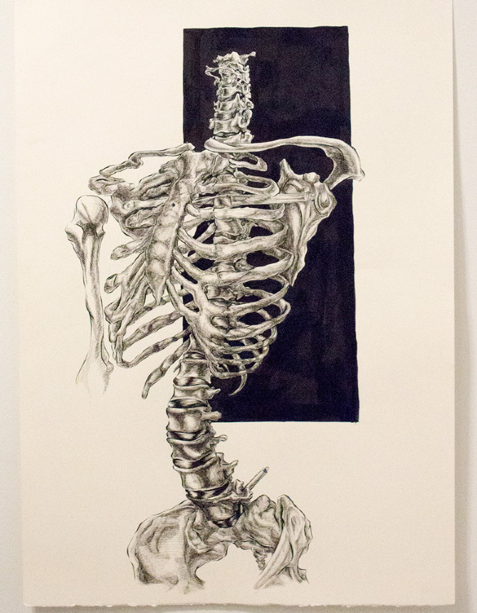 670x861 Anatomical Sketches - Anatomical Sketches