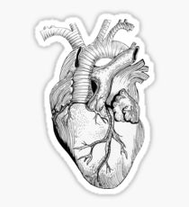210x230 Anatomically Correct Heart Stickers Redbubble - Anatomically Correct Heart Sketch