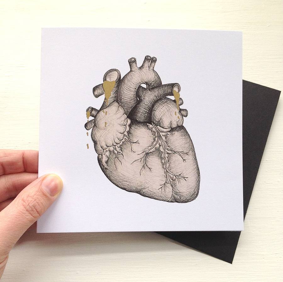 900x899 Anatomical Heart Illustration Valentines Card By Cherry Pie Lane - Anatomically Correct Heart Sketch