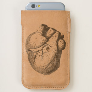 307x307 Anatomical Heart Iphone 66s Cases Amp Cover Zazzle - Anatomically Correct Heart Sketch