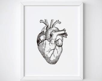 340x270 Anatomical Heart Art Etsy - Anatomically Correct Heart Sketch