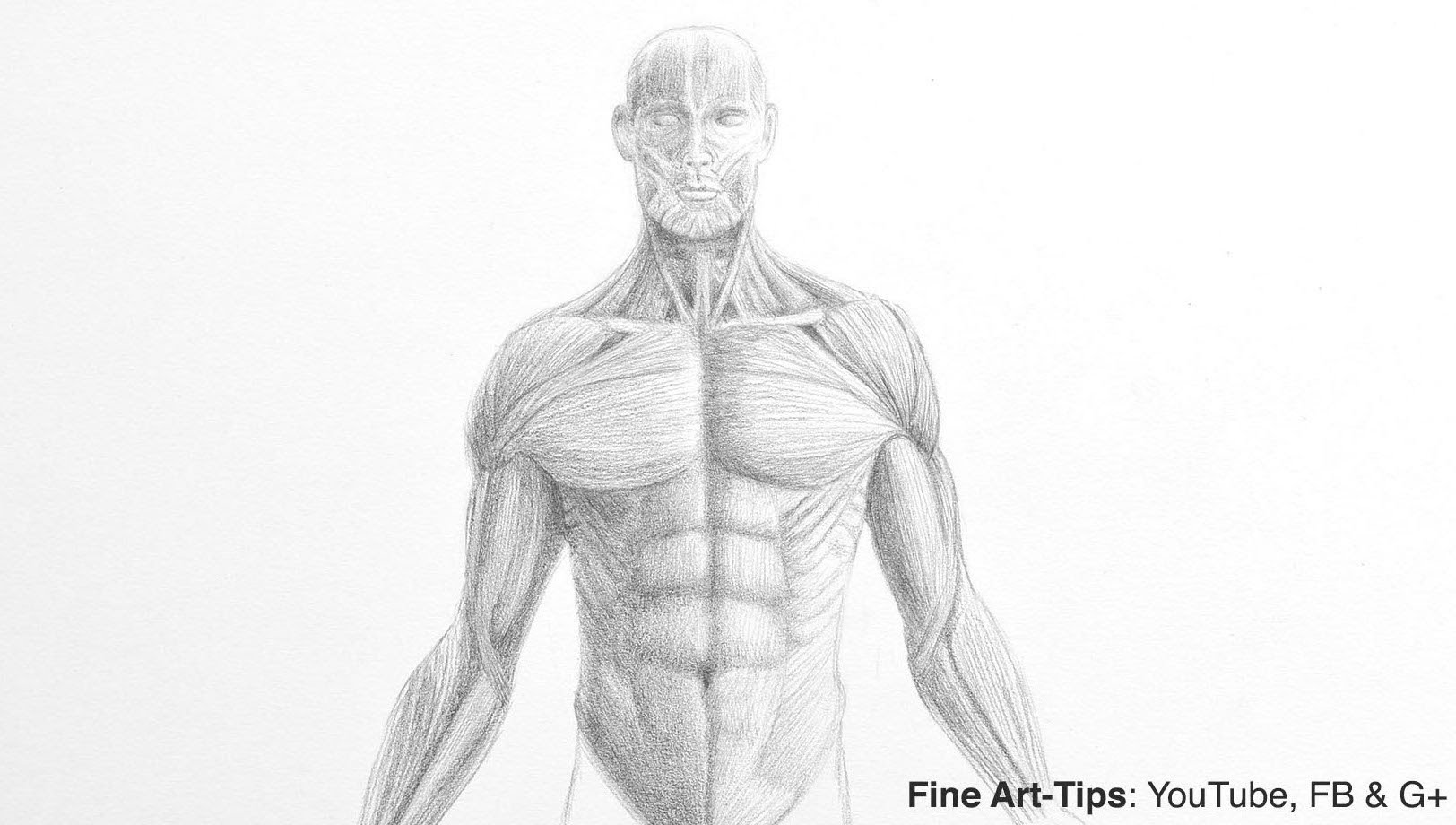 1624x920 How To Draw A Male Torso - Anatomy Sketches