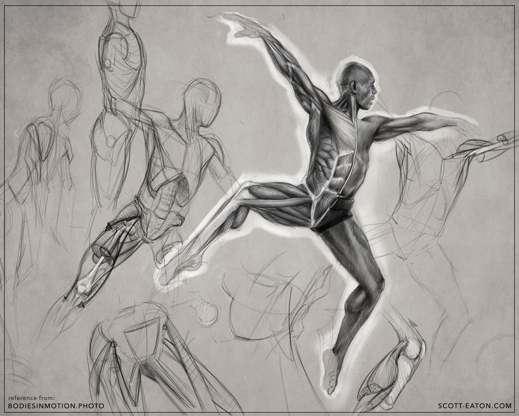 1024x820 Anatomy Sketches Scott Eaton - Anatomy Sketches