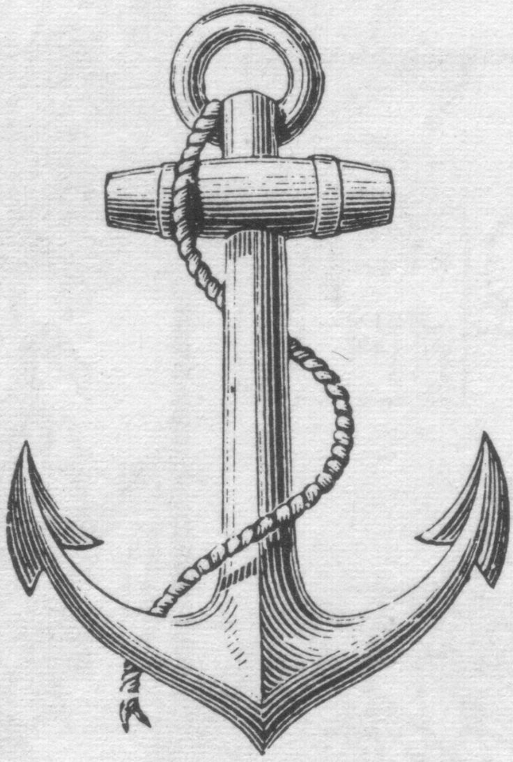 736x1093 Pin By Evant On Ink Anchor Tattoos, Tattoos And - Anchor Tattoo Sketch