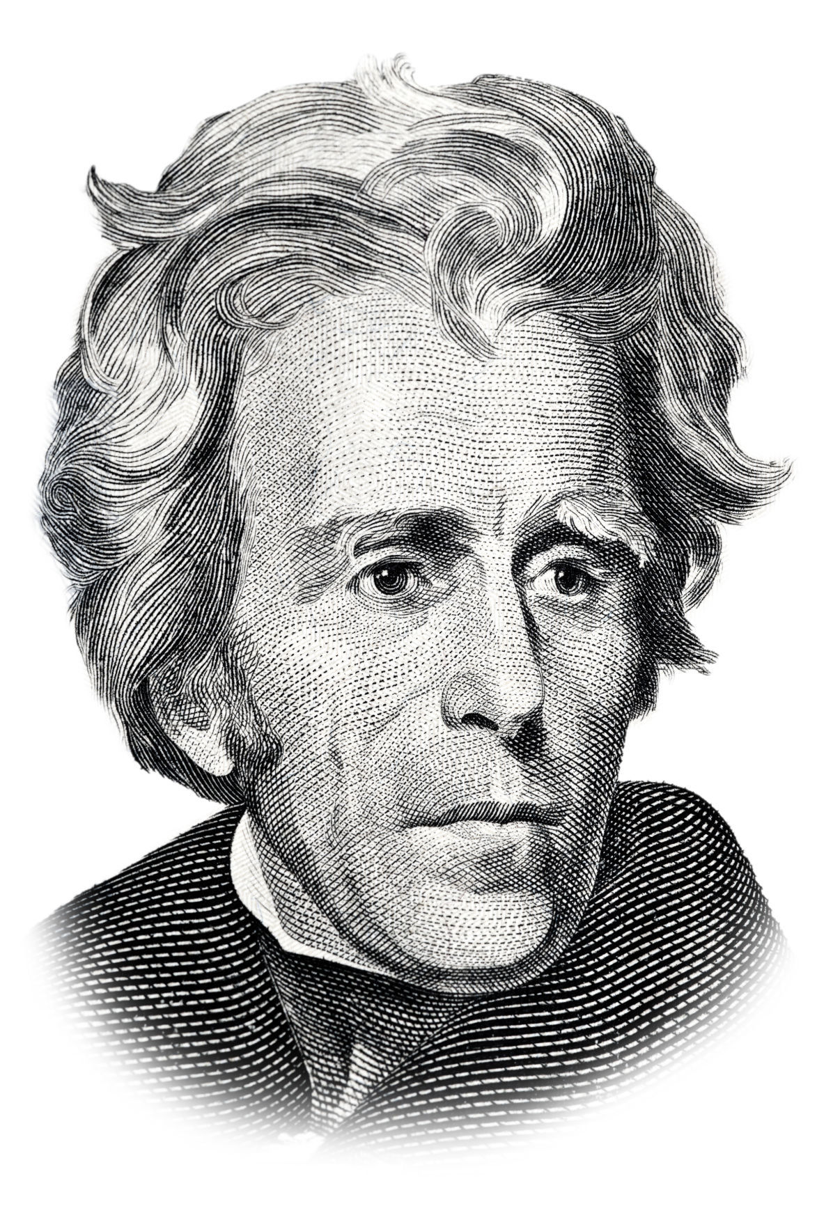 1173x1765 Guest Editorial Andrew Jackson, Father Of A Nationalism That - Andrew Jackson Sketch