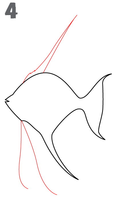 409x730 Angelfish - Angel Fish Sketch
