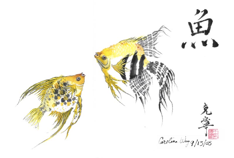 800x539 Caroline Wang - Angel Fish Sketch